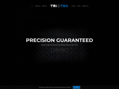 triotec.co.uk snapshot