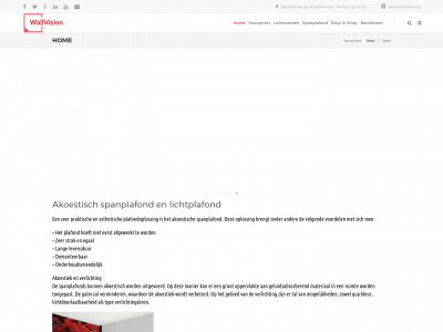 wallvision.be snapshot