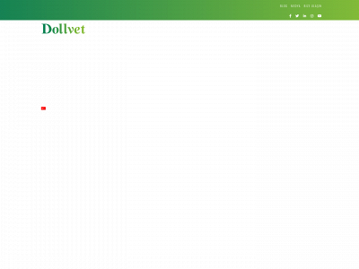 dollvet.com.tr snapshot