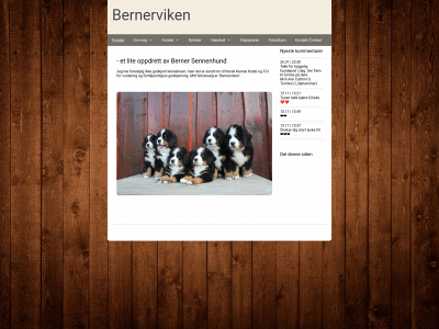 bernerviken.123hjemmeside.no snapshot
