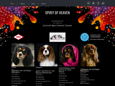 cavaliere-spirit-of-heaven.de snapshot