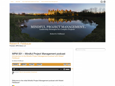 mpmglobal.com snapshot