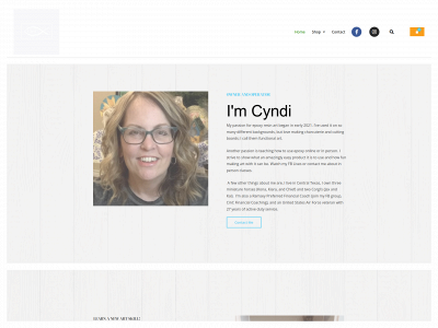cincdesigns.com snapshot