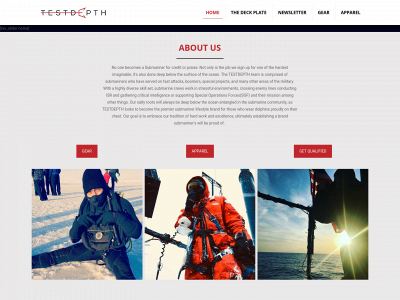 teamtestdepth.com snapshot