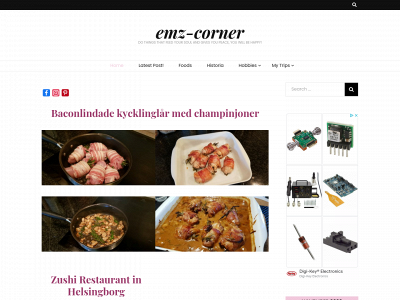 emz-corner.com snapshot