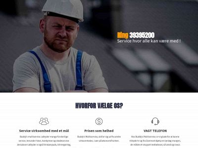 buddys-multiservice.dk snapshot