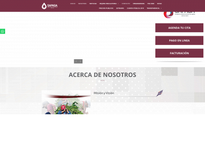 sapasa.gob.mx snapshot