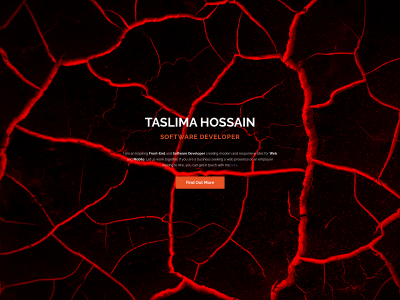 taslimahossain.com snapshot