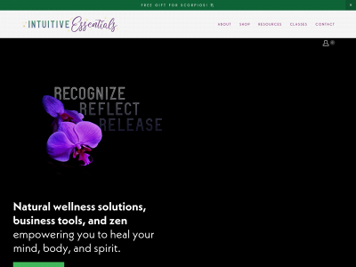 intuitive-essentials.com snapshot
