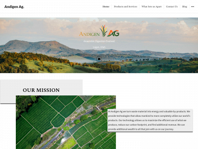 andigenag.com snapshot