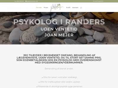 joanmejer.dk snapshot