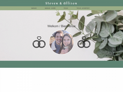 steven-allison.be snapshot