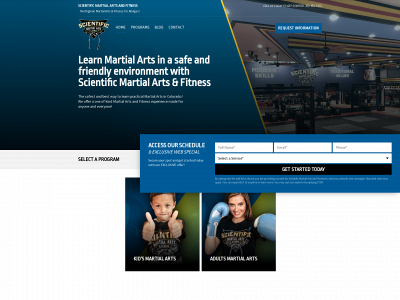 www.flashkickboxing.net snapshot