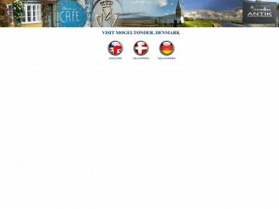 mogeltonder.com snapshot