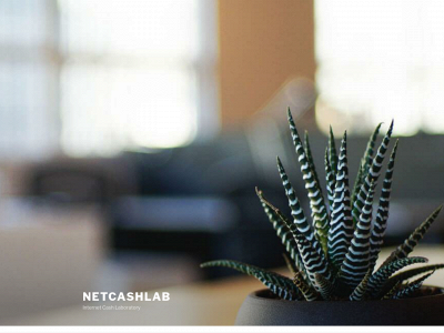 netcashlab.com snapshot