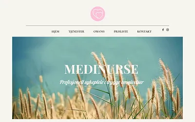 medinurse.no snapshot