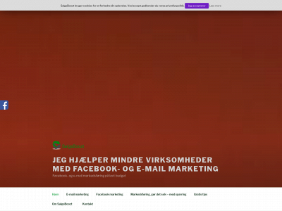 salgsboozt.dk snapshot