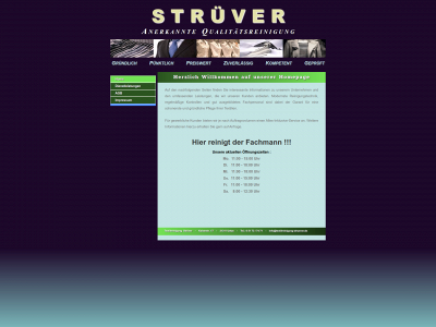 textilreinigung-struever.de snapshot