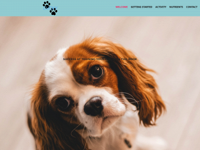 luckylorraindrop.com snapshot