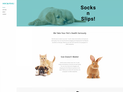 socksnslips.ch snapshot