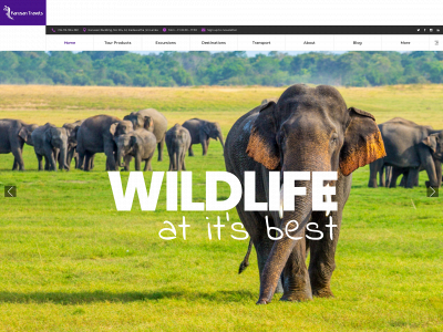 karusantravels.com snapshot