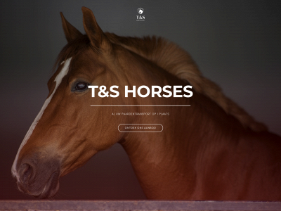 tshorses.com snapshot