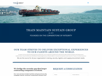 tmsgroupusa.com snapshot