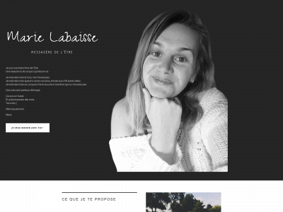 marielabaisse.be snapshot