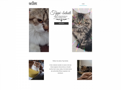 tippi-behati.nl snapshot