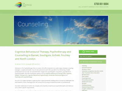 www.thepsychotherapy.co.uk snapshot