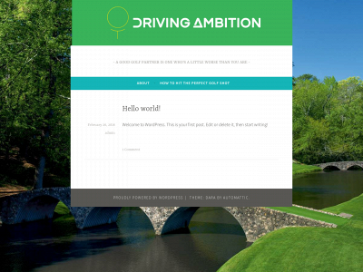 godrivingambition.com snapshot