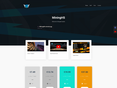 mininghs.com snapshot