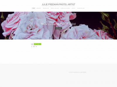 www.juliefreeman.co.nz snapshot