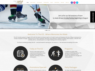 theice.info snapshot