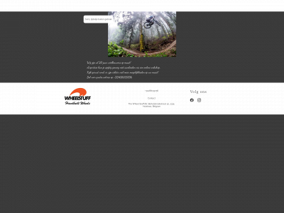 thewheelstuff.store snapshot