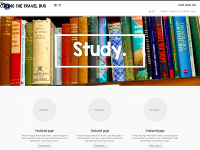 curingthetravelbug.com snapshot