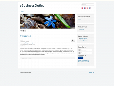 ebusinessoutlet.com snapshot