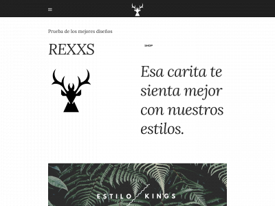 rexxs.weebly.com snapshot