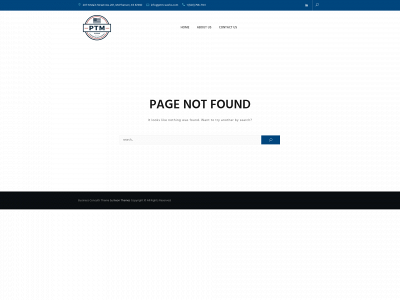ptm-works.com snapshot