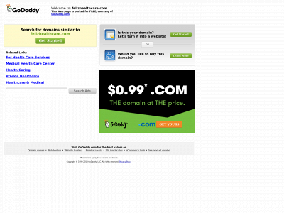 felizhealthcare.com snapshot
