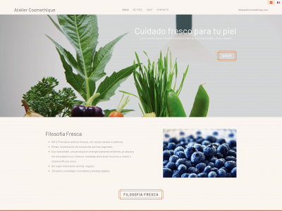 ateliercosmethique.com snapshot