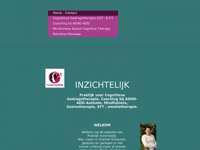 praktijkinzichtelijk.nl snapshot