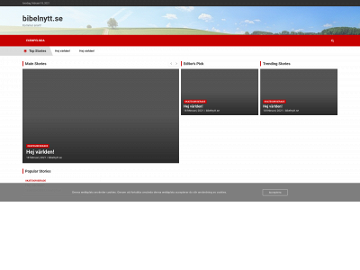 bibelnytt.se snapshot