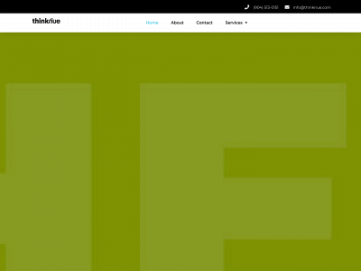thinknue.com snapshot