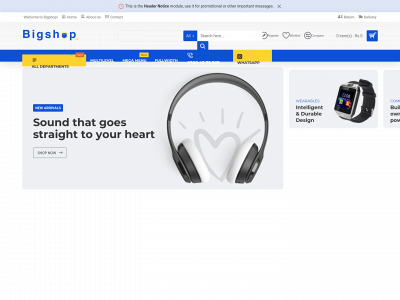 bigshop.pk snapshot