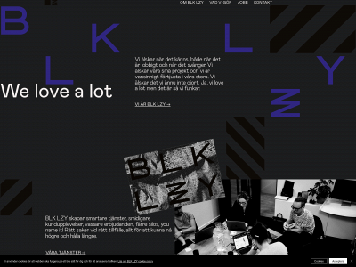 blacklizzy.se snapshot