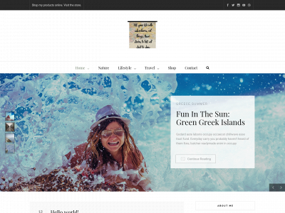 baresoultraveller.com snapshot