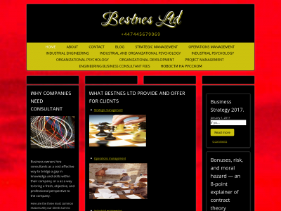 bestnes.com snapshot