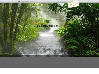 snappingfrog.com snapshot
