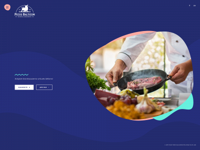 premiumjautiena.lt snapshot